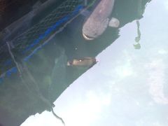 iphone_upload_pic-亚龙湾海底世界