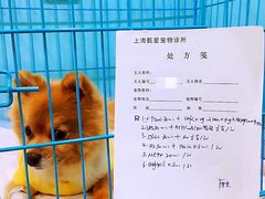 -甄爱宠物医院(疏影路店)