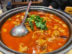 挑挑猪大肠鸡煲-江味龙虾馆·裸蓝龙虾(南山店)