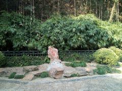 -杭州黄龙洞