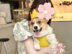 -法桐蛋糕·手作面包(万象城店)