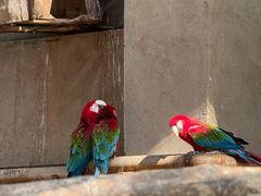 -大连森林动物园