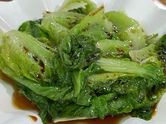-东鸽皇(奥园·中环广场店)