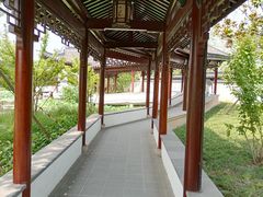 -上海滨江森林公园