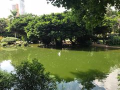 -香港皇家太平洋酒店