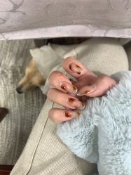 -LADYGIRL·Nail·Lash·美甲美睫