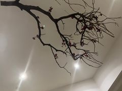 -金色印象·4K影院式足体养生(石碾盘店)