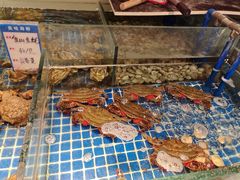 -闽海肴(北辰荟店)