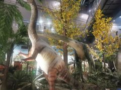 -湖南省地质博物馆