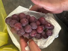 -马陆小张葡萄园农家乐