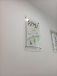 -凡碧诗毛孔清洁收细