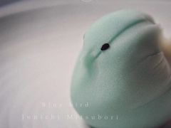 -COSTA COFFEE(上海月星环球港店)