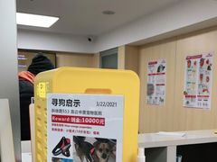 -申普宠物医院·心脏介入·心血管微创(总院)