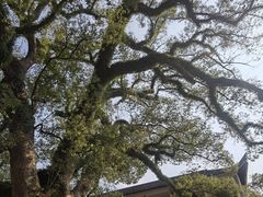 -溪口-滕头旅游景区