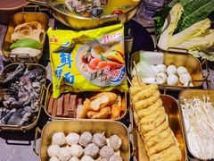 -Darling Queen·Mini·Live·House