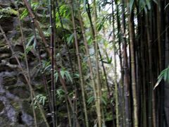 -井冈山革命烈士陵园