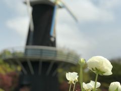 -上海鲜花港