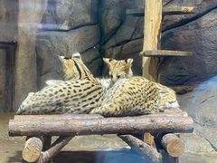 -波塞冬旅游度假区