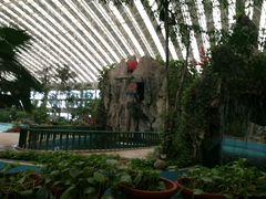 -龙脉温泉室内游泳馆