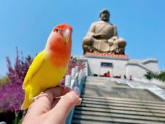 -石岛赤山风景区
