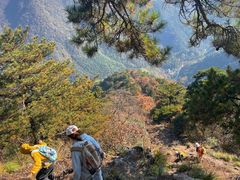 -东天目山风景区