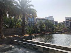 -鹭江潮餐厅•福建菜(鹭江佲家酒店)