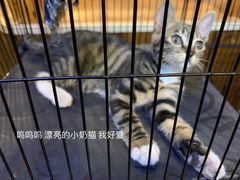 -恩你小木屋·烤肉韩式料理(嘉兴秀洲店)