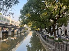 -荔湾湖公园