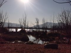 -月亮湾景区