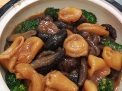 -寻味顺德·珍之宝酒楼(银钻店)