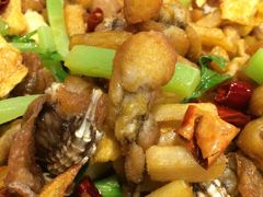 -馋嘴蛙火锅