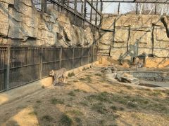 -石家庄市动物园