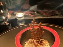 -地球美食剧场