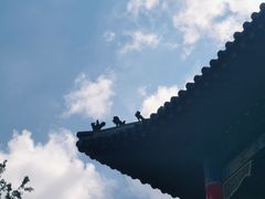 -哈尔滨极乐寺