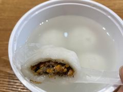 -海丝金凤(金鱼店)