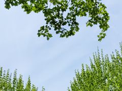 -颐和路民国时期公馆风貌区