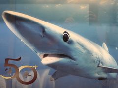 -深圳湾万象城(南山店)