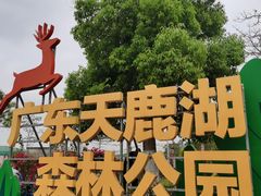 -天鹿湖森林公园