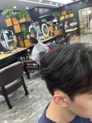 -藤野造型