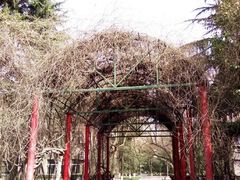 -陕西师范大学(雁塔校区)