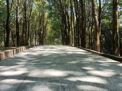 -火炉山森林公园
