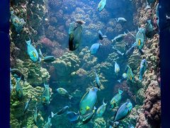 -海合安青岛极地海洋公园