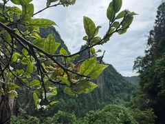 -刘伯温故里景区百丈漈
