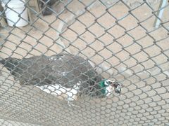 -陕西自然博物馆