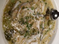 鲈鱼酸菜鱼-首秀·四川料理(星耀101店)