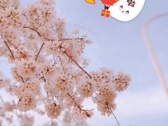 -上海辰山植物园