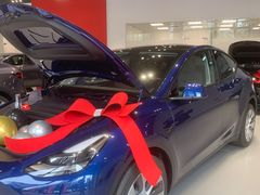 -TESLA 特斯拉(深圳观澜特斯拉直营钣喷中心)