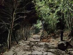 -雨花胜境