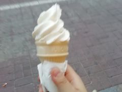-永和大王(广渠店)