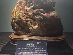 -中华赏石园